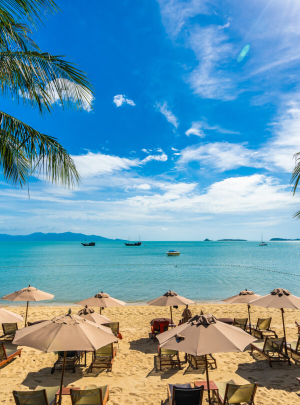 Beautiful tropical beach sea and ocean with coconut palm tree  a