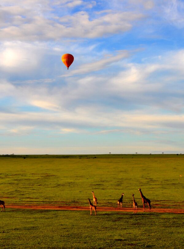 Hot_Air_Balloon_Safari_in_Maasai_Mara